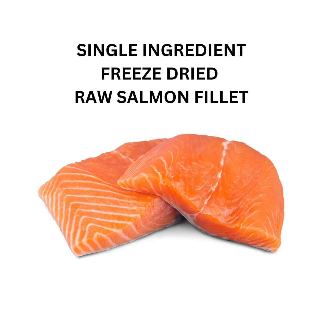 Freeze-Dried Salmon Treats for Dogs – Omega-3 Rich, Single Ingredient