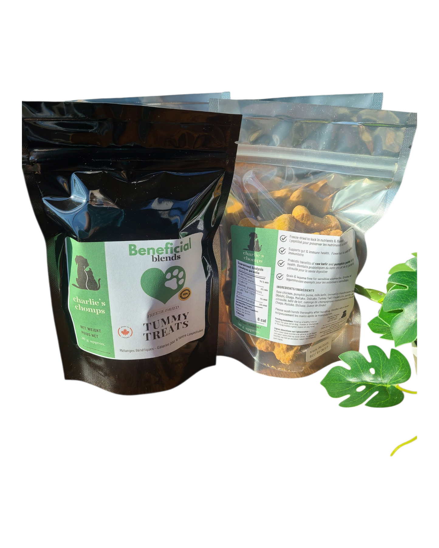 Tummy Treats – Beneficial Blend for Gut & Immune Health