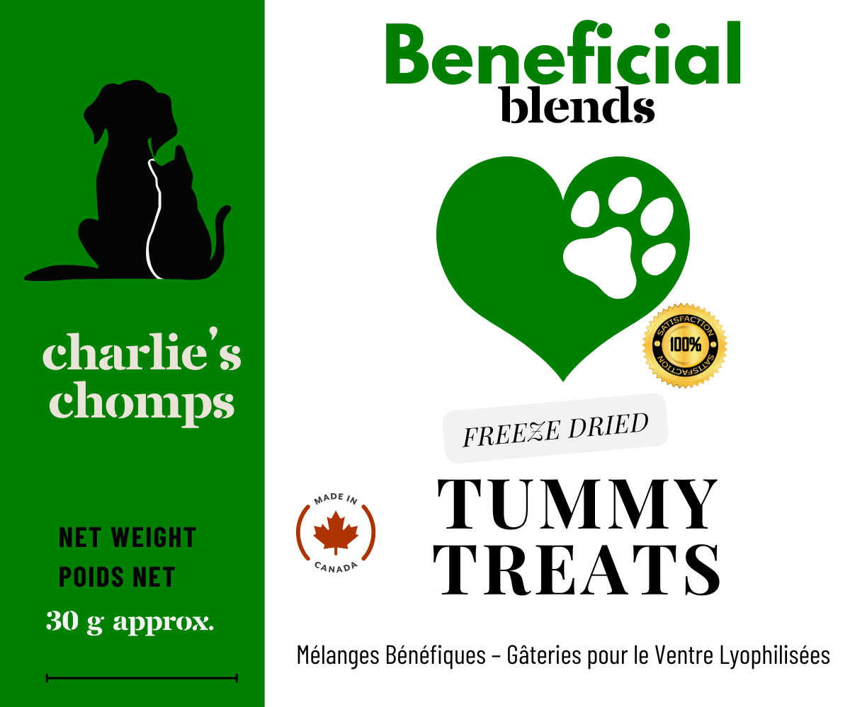 Tummy Treats – Beneficial Blend for Gut & Immune Health