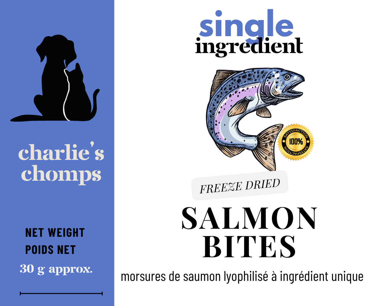 Freeze-Dried Salmon Treats for Dogs – Omega-3 Rich, Single Ingredient