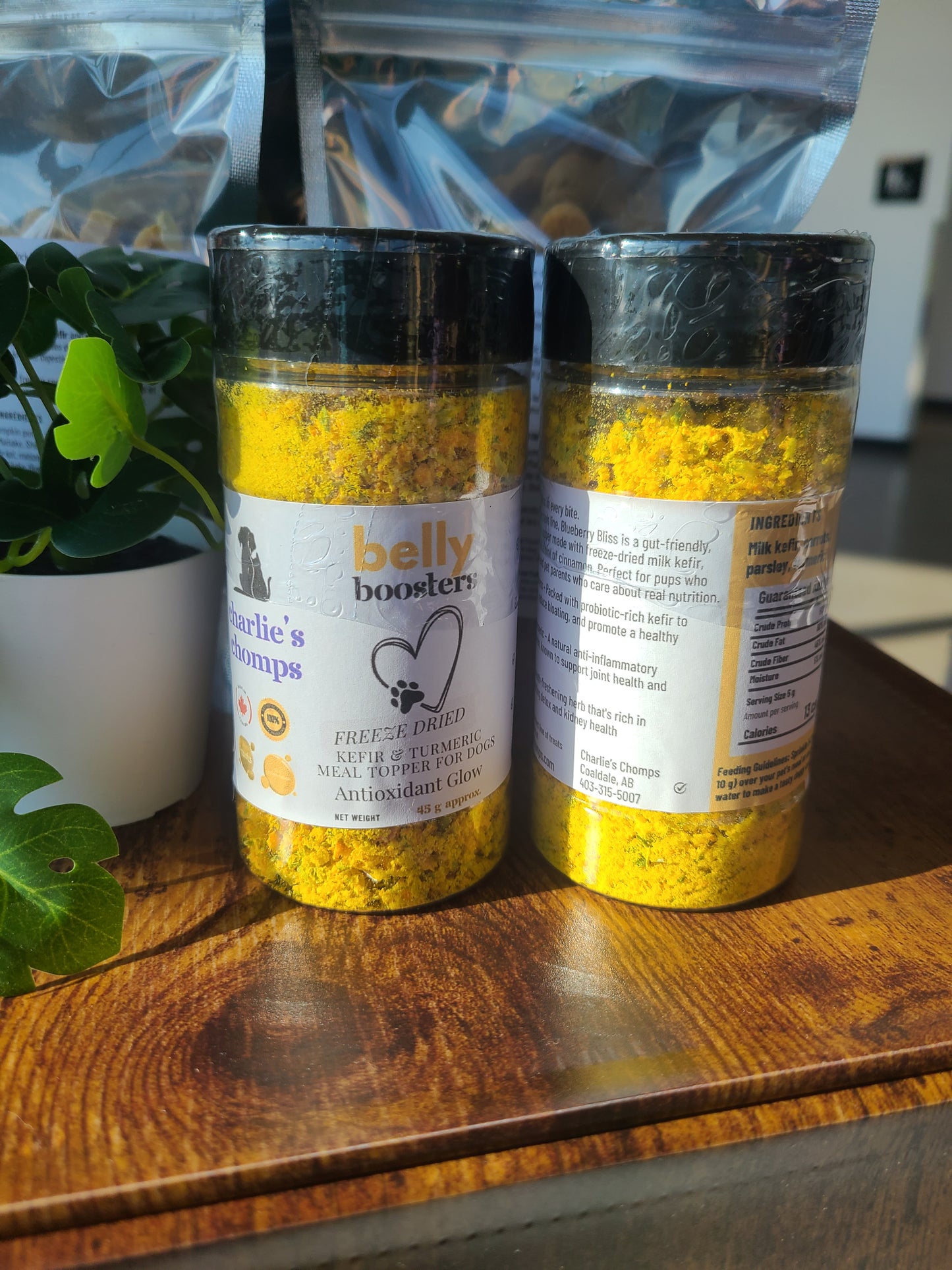 Antioxidant Glow – Kefir Meal Topper for Dogs