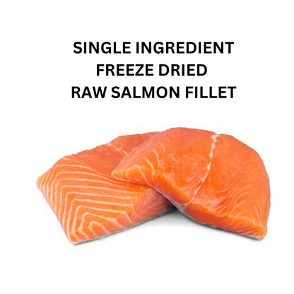 Salmon Filet - Freeze dried RAW