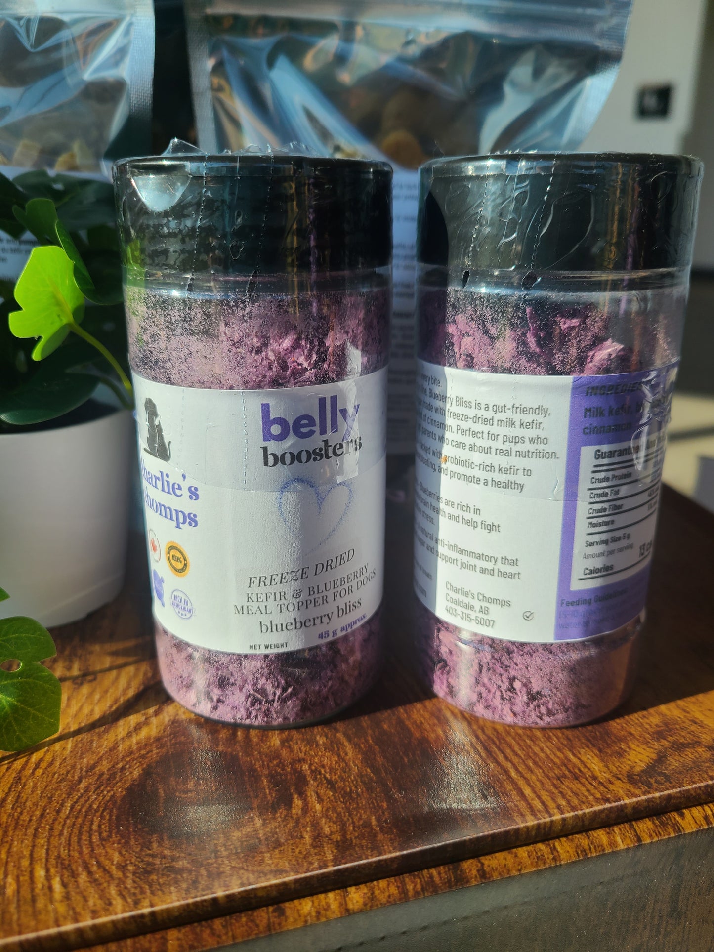 Blueberry Bliss – Kefir & Superfruit Meal Topper Belly Booster for Dogs